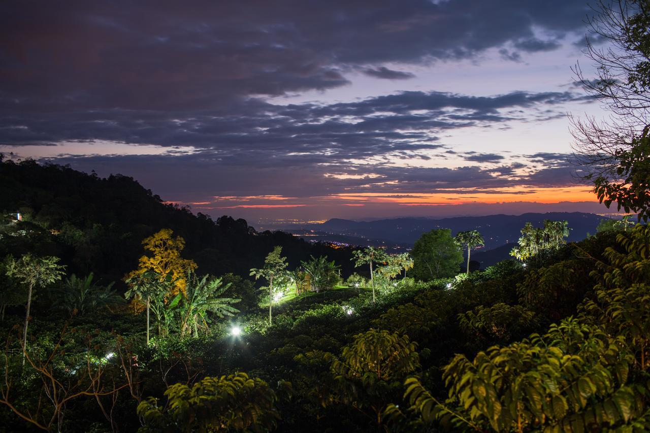 Coffee & Adventure Hotel By La Palma Y El Tucan Zipacon Exterior foto