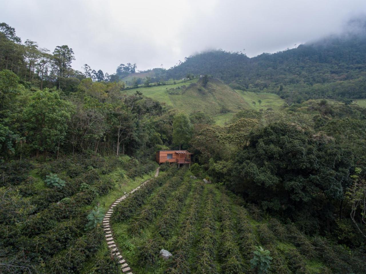 Coffee & Adventure Hotel By La Palma Y El Tucan Zipacon Exterior foto